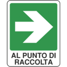 direzione punto di raccolta direzione punto di raccolta